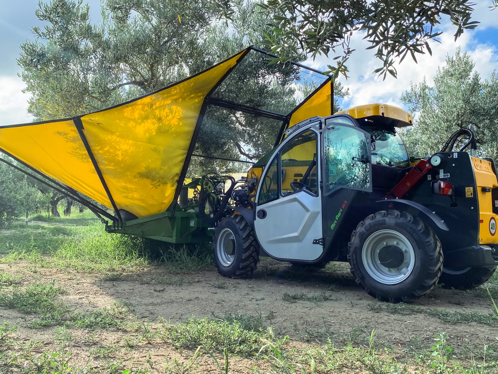Chariot télescopique pour la récolte des olives